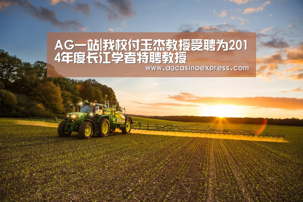 AG内容